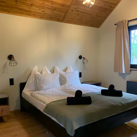 Vilă Rustic *